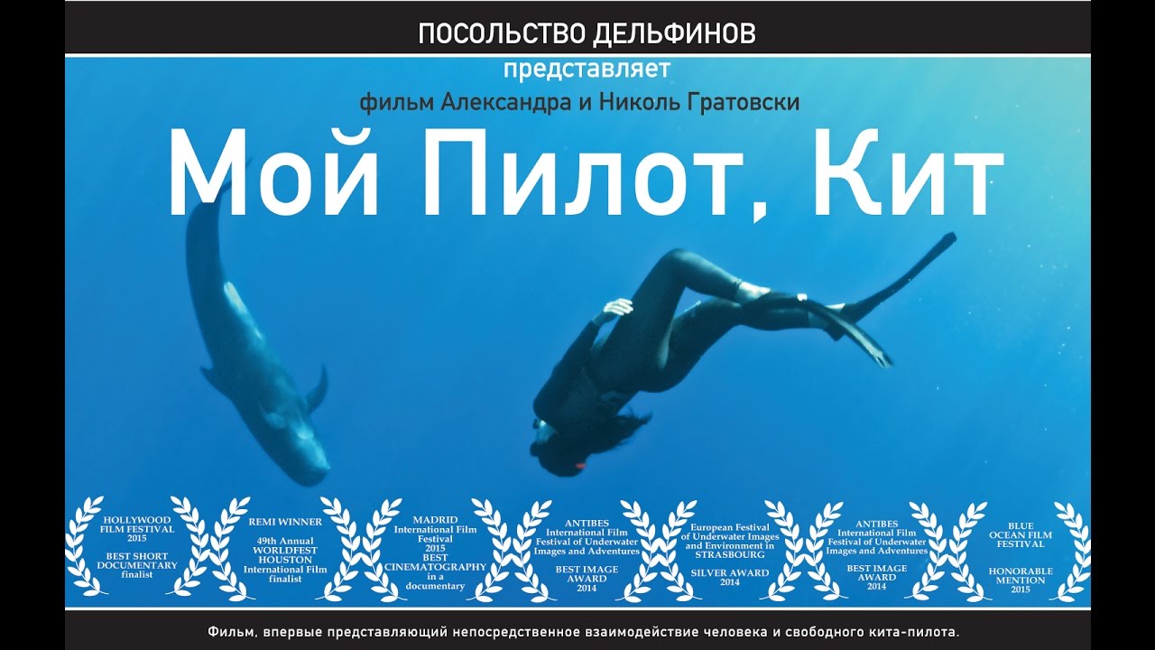 Мой Пилот, Кит (RUS)