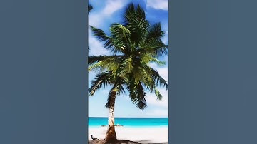 🕋سورة الشعراء القارئ إسلام صبحي 🎧📿🌴