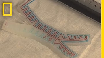 Rubber Robot Can Change Colors | National Geographic