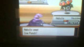 Pokemon Heatgold Wi-fi battle #2 vs Junior (Gamefaqs)