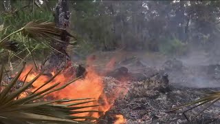 Yellow Bluff fire update