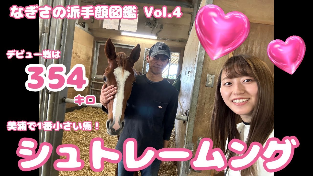 【なぎさの派手顔図鑑】Vol.4　シュトレームング（美浦・和田雄二厩舎）