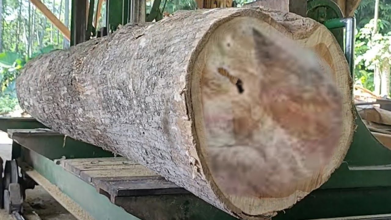 the amazing process of cutting old teak logs full of beautiful grain at ...