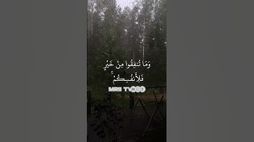 ماهر المعيقلي - سورة البقرة ( برواية حفص عن عاصم ) الأية 272