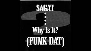WHITE VINYL RMX OF Sagat  Why Is It Funk Dat FUCK DAT Net Worth