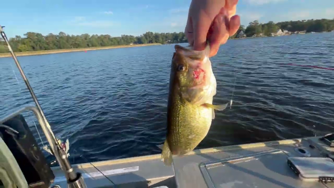 snakee n dori – Bass Fishing Part 1