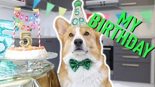 CORGI'S 5th BIRTHDAY PARTY! - Topi the Corgi