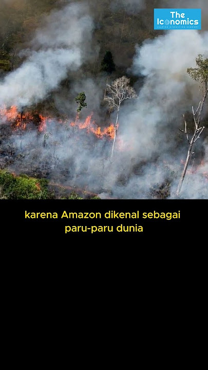 5 Peristiwa kebakaran hutan terbesar di dunia