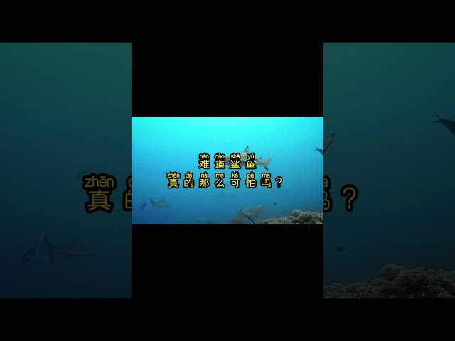 [一分钟中文阅读 EP 90] HSK 5: 鲨鱼 (理查老师直播课-中文阅读听力练习)