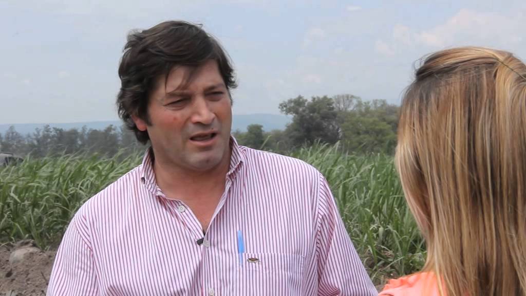 SIEMBRA Y COSECHA TV: Producción de caña en el Ingenio Ledesma