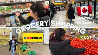 Grocery Shopping vlog | No frills Canada | Cost | monthly expenses in Canada