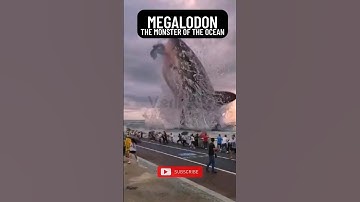 Megalodon "The Monster Of The Ocean" Discovered Facts #ocean #shorts