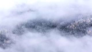 Abraham Hicks ~ How to respond to negative emotion