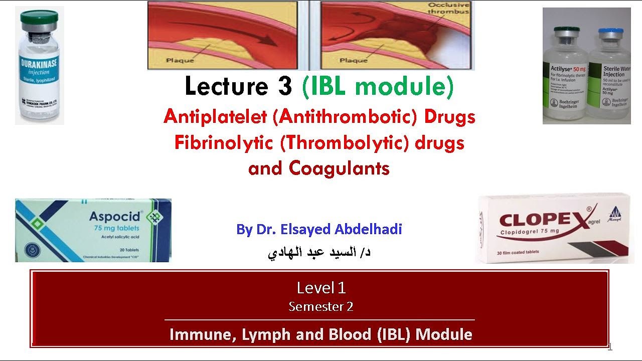 IBL_ Lecture3 _ Antiplatelet _ Fibrinolytics _ Coagulants_ Dr. Elsayed Abdelhadi_ 2024