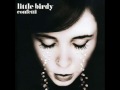 Little Birdy - Hairdo