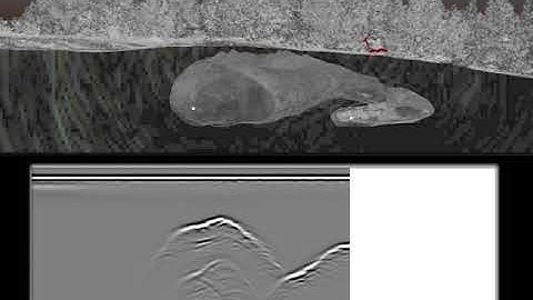 TubeX project - GPR data simulation over Valentine Cave