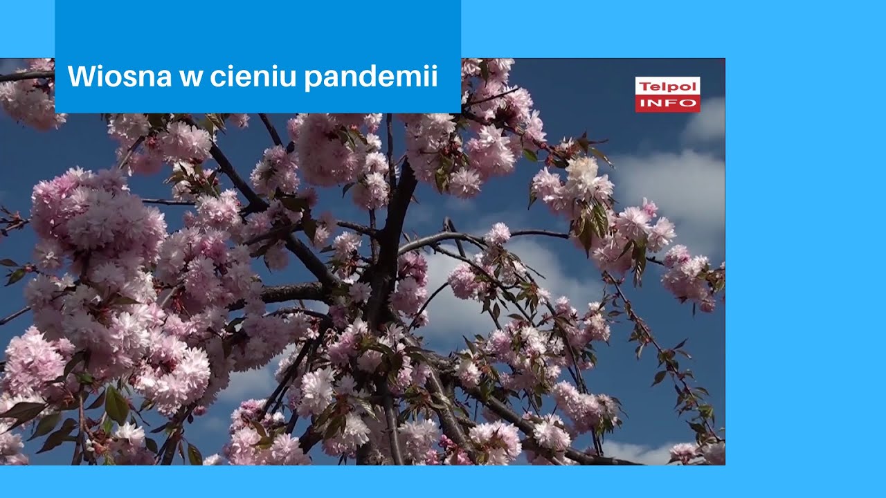 Wiosna w cieniu pandemii