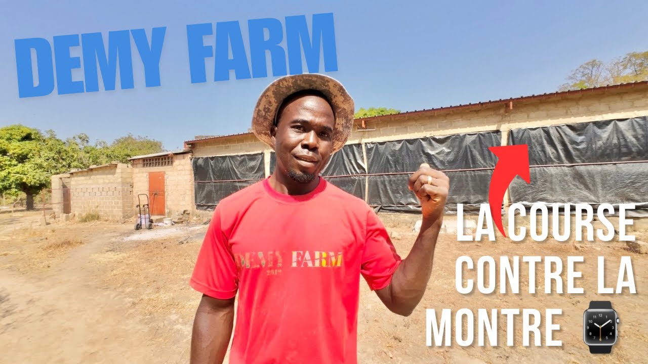 Voici L'Un Des Défis Majeurs Auxquels Fait Face La Diasporas Dans Leur Ferme…