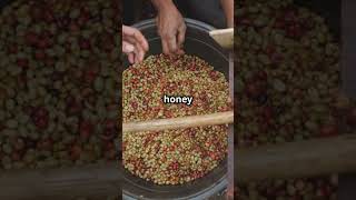 Quick Guide to Honey Processing-#CoffeeLovers #HoneyProcessedCoffee #coffeeprocessing