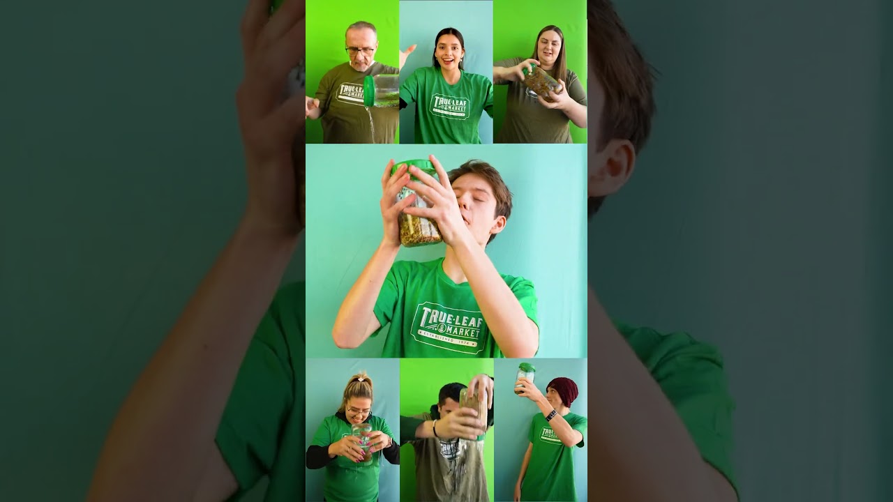 Sprouting is easy and FUN! 