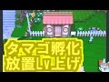 【ポケモン オメガルビー】 ORAS 自動タマゴ孵化　放置レベル上げ　　【ORAS廃人ロー…