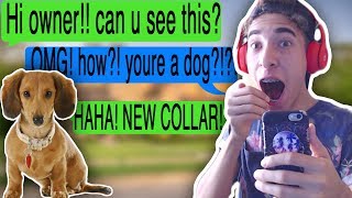 Texting My Dog Using A Chat Collar Tap Where Did You Go