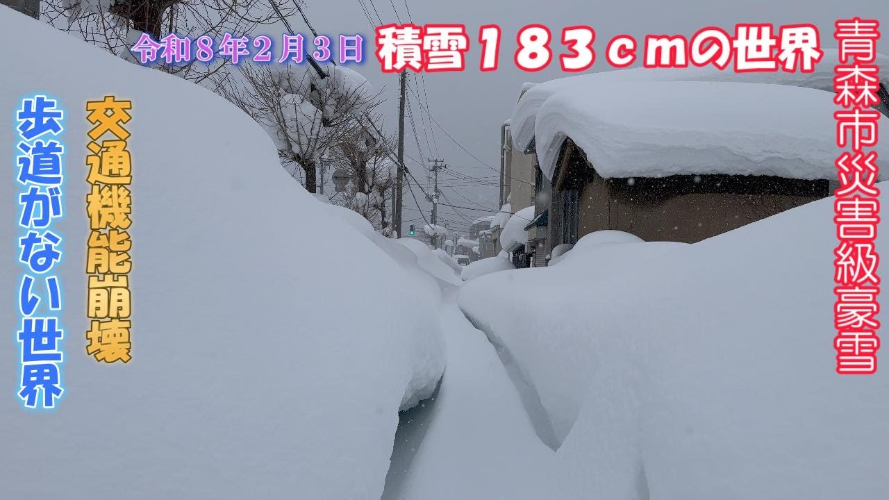 災害級大雪の青森市で講習受けてきた！青森県は自衛隊に災害派遣要請　むつ市から行きも帰りも車で４時間以上かかったよ#豪雪#大雪#青森市内の風景