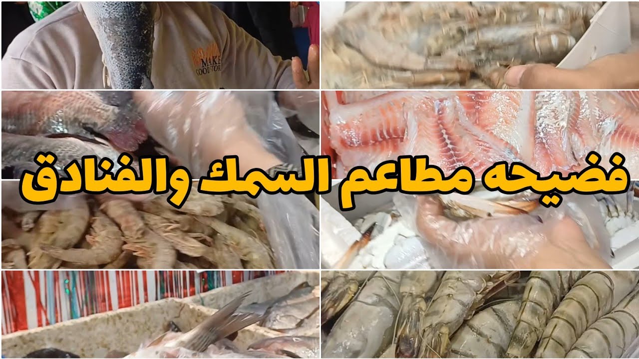 سر مطاعم السمك والفنادق بيجبو الجمبري والسمك من فين سوق العبور للاسماك