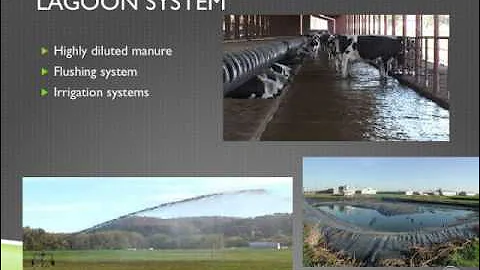 Manure Management on Dairy Farms