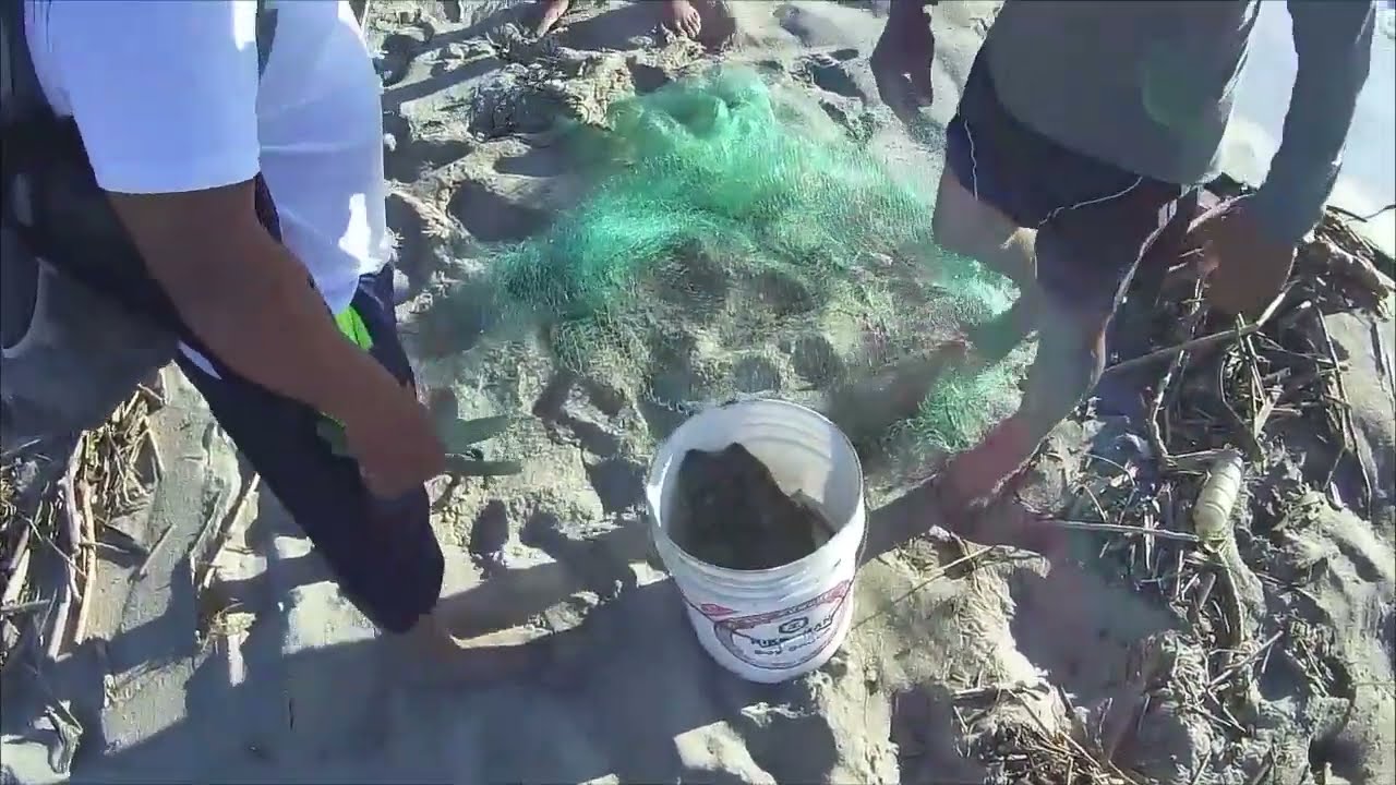 San Jose del Cabo Mexico  Estuary