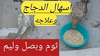 اسهال الدجاج وعلاجه وطريقة الوقايه منه .Treatment of chicken diarrhea