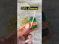 Types of Crackers vs Pumpkin testing #crackersraja #fireworks #diwali #experiment #shorts