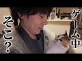 ネッコとの日々に満たされてたけど、やっぱ戦っていてぇんだ