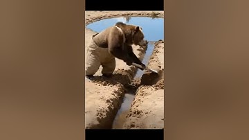 The bear saved the guava plant from drying up by watering it 😭 #ai #tree #save #watering