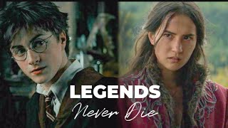 Harry Potter & Alina Starkov || The chosen ones || Legends never die