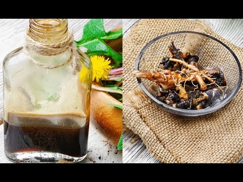 le-sirop-de-cette-plante-peut-guérir-plus-que-100-types-maladies,-et-pourtant-je-ne-le-savais-pas.