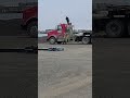 Truck driver chased by grizzly bear in Deadhorse Alaska