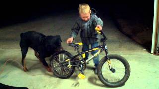 2011-11-23_20-51-34_147