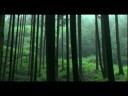 劇場版　「虹の峠」予告編