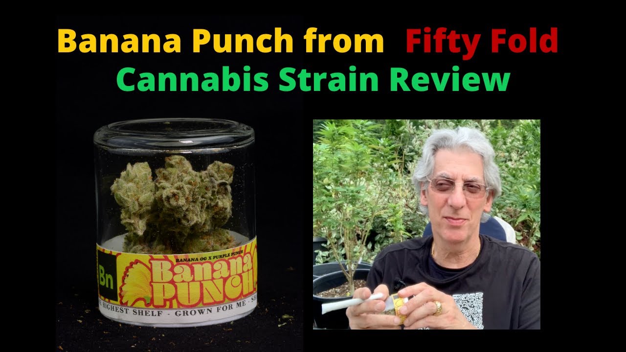Banana Punch from Fifty Fold Cannabis Strain Review