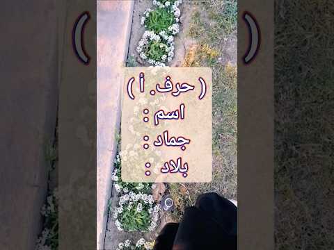 عطوني بحرف أ اسم جماد بلاد ارح سمعك القارئ عبدالرحمن مسعد طمأنينة