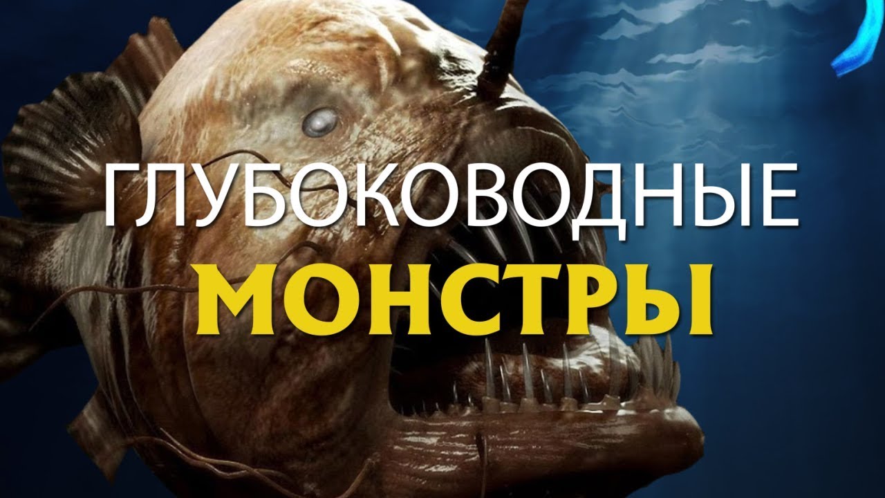 Монстры реки волги