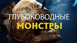 ГЛУБОКОВОДНЫЕ МОНСТРЫ ГЛУБОКОВОДНЫЕ МОНСТРЫ