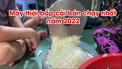 Máy cắt bắp cải trắng- tím, bắp sú trắng - tím làm salad bán chạy nhất năm 2022