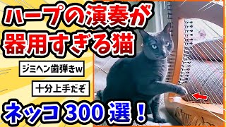 【2ch動物スレ総集編】ハープの特訓を受けた猫 → 器用すぎる演奏に驚愕www【ネコ300選】