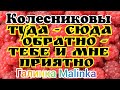 Колесниковы /Туда - сюда обратно - тебе и мне приятно /Обзор Влогов /