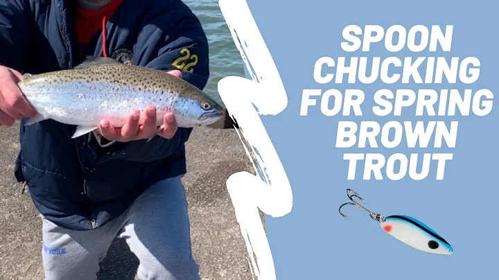 Lake Ontario Spring Brown Trout Fishing | Casting Little Cleos and Moonshine Spoons From the Pier