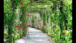 ギター世界の名曲集（途中CMなし）