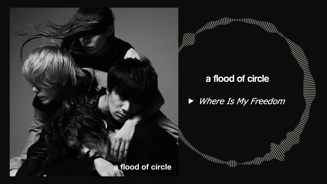 Where Is My Freedom - a flood of circle - YouTube