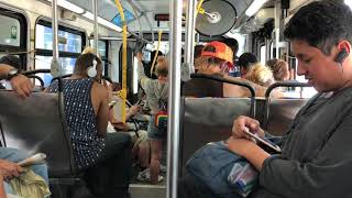 LACMTA NABI 60-BRT #9209 on Blue Line Local Shuttle 864